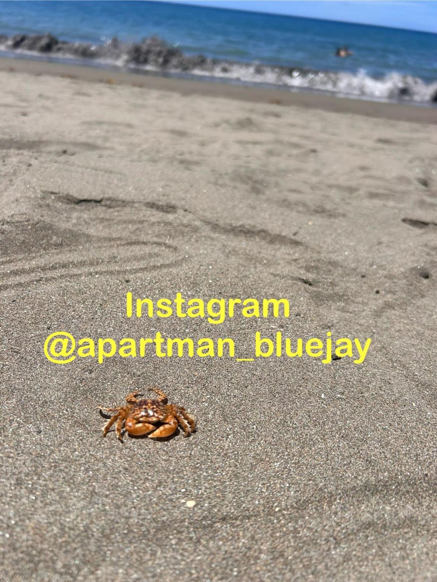 Bluejay Apartamento Playa Del Cura Playa Del Cura  Kültér fotó