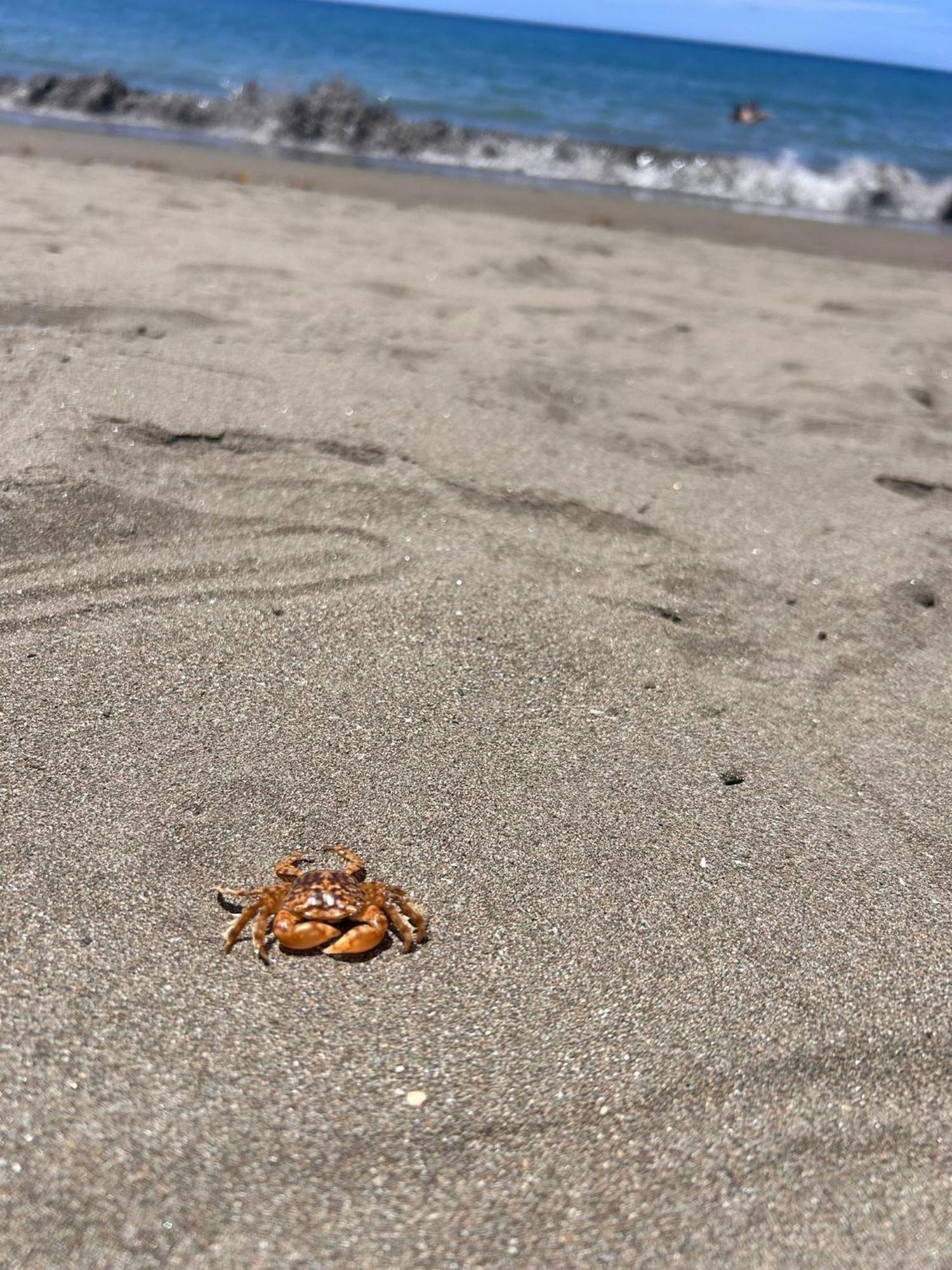 Bluejay Apartamento Playa Del Cura Playa Del Cura  Kültér fotó